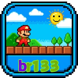 br133
